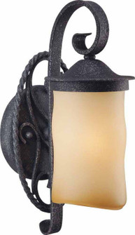 Sevilla One Light Wall Sconce in Antique Iron (223|V4581-36)