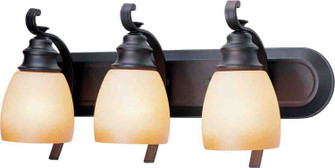 Rainier Three Light Bath Room Light Mounts up or Down in Foundry Bronze (223|V4153-65)