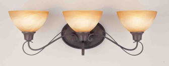 Altamonte Three Light Bath Room Light Mounts up or Down in Frontier Iron (223|V2663-53)