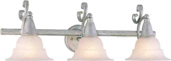 Toledo Platinum Rust Three Light Bath Room Light Mounts up or Down in Platinum Rust (223|V1773-85)