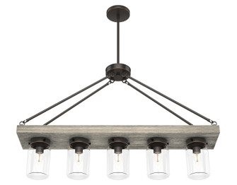 Devon Park Five Light Chandelier in Onyx Bengal (47|19006)