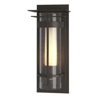 Torch One Light Outdoor Wall Sconce in Coastal Dark Smoke (39|305996-SKT-77-ZS0654)