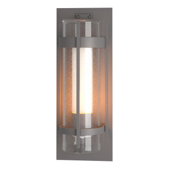 Torch One Light Outdoor Wall Sconce in Coastal Burnished Steel (39|305898-SKT-78-ZS0656)