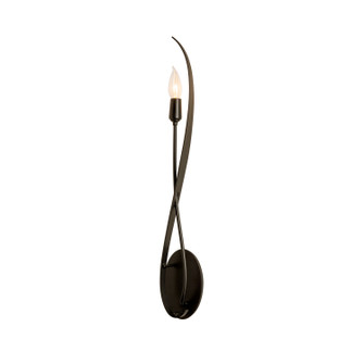 Willow One Light Wall Sconce in Oil Rubbed Bronze (39|209120-SKT-14)
