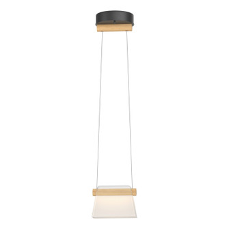 Cowbell LED Mini Pendant in Black (39|151060-LED-STND-10-WD-YE0560)