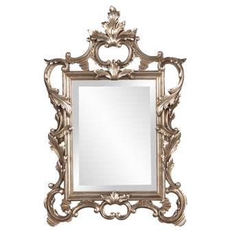 Andrews Mirror in Antique Champagne (204|84012)