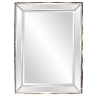 Roberto Mirror in Mirrored (204|65036)