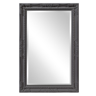 Queen Ann Mirror in Glossy Charcoal Gray (204|53081CH)