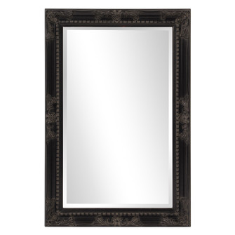 Queen Ann Mirror in Antique Black (204|53079)