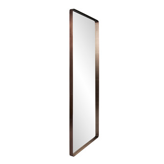 Steele Mirror in Brushed Brass Stainless Steel (204|48104)