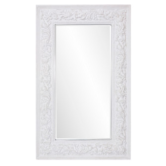 Cadence Mirror in White Wash (204|43159)