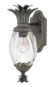 Plantation LED Outdoor Lantern in Museum Black (13|2126MB)