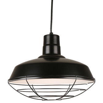 Warehouse One Light Pendant in Black (381|H-QSN15116-C-91/QSNWGR-16``-91)