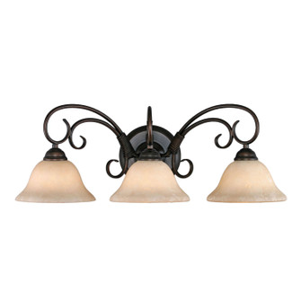 Homestead Three Light Vanity Light in Rubbed Bronze (62|8606-BA3 RBZ-TEA)