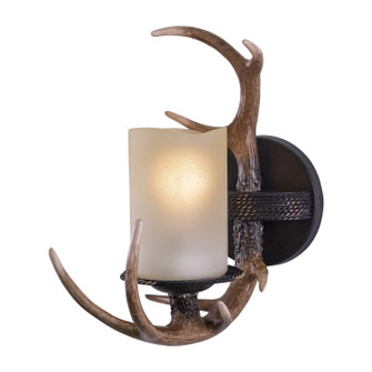 Yoho One Light Vanity in Black Walnut (63|W0032)