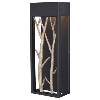 Ocala LED Outdoor Wall Mount in Textured Black and Poplar (63|T0561)