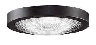 Spitfire LED Light Kit in Dark Bronze (26|LK6721BDCDZ)