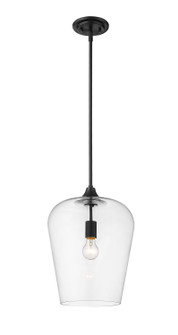 Joliet One Light Pendant in Matte Black (224|473P12-MB)