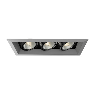 PAR20MULTI-GEN MULT,PAR20,TRM,3LT,50W,PT/BLK in Platinum (40|TE163-0N)