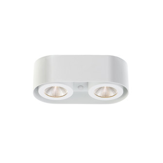 Nymark LED Flush Mount in White (40|33617-015)