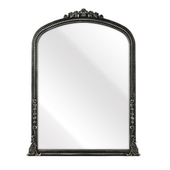 Lise Wall Mirror in Aged Black (45|S0036-10140)