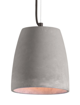 Fortune One Light Ceiling Lamp in Gray (339|50205)