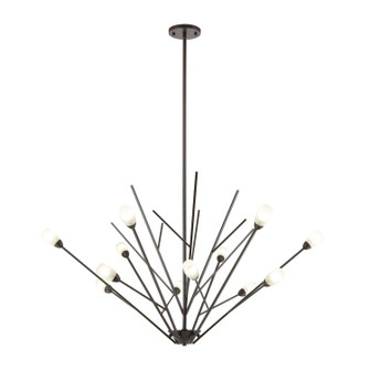 Ocotillo 12 Light Chandelier in Oil Rubbed Bronze (45|18279/12)