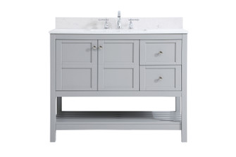 Theo Bathroom Vanity Set in Gray (173|VF16442GR-BS)