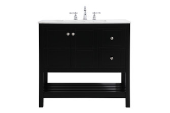 Theo Single Bathroom Vanity in Black (173|VF16436BK)