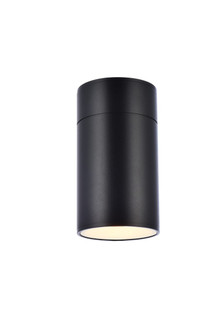 Raine LED Outdoor Wall Lamp in black (173|LDOD4039BK)