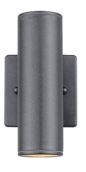 Riga Two Light Outdoor Wall Mount in Anthracite (217|84003A)