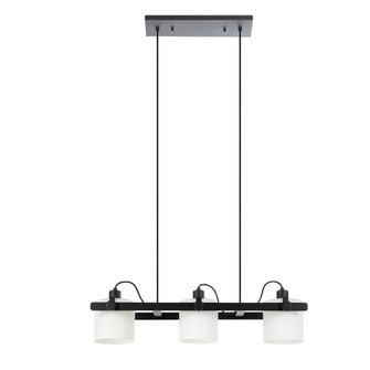 Drummond Three Light Pendant in Black (217|204941A)