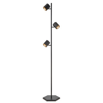 Hexa Three Light Floor Lamp in Multiple Finishes And Ebony (214|DVP46609MF+EB)