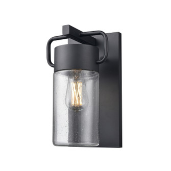Tuxedo Outdoor One Light Wall Sconce in Black With Clear Seedy Glass (214|DVP40771BK-SDY)