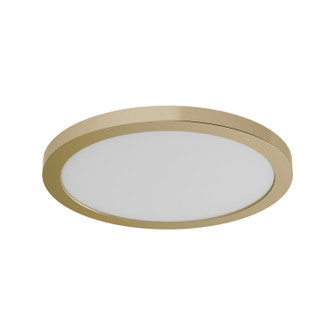 Avro LED Wall / Flush Mount in Brass (3000K) (214|DVP38928BR-3K)