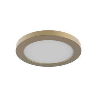 Avro LED Wall / Flush Mount in Brass (3000K) (214|DVP38918BR-3K)