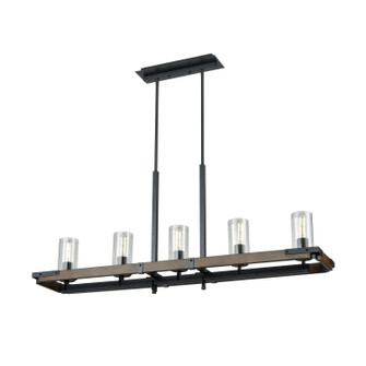 Okanagan Five Light Linear Pendant in Graphite And Ironwood On Metal With Clear Glass (214|DVP38602GR+IW-CL)
