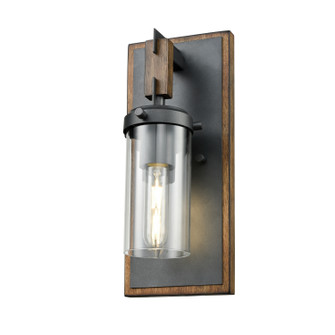 Okanagan One Light Wall Sconce in Graphite And Ironwood On Metal With Clear Glass (214|DVP38601GR+IW-CL)