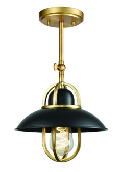 Peggy'S Cove One Light Wall Sconce in Graphite And Venetian Brass (214|DVP31001GR+VBR)