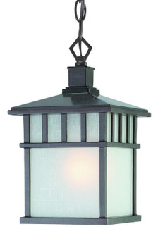 Barton One Light Hanging Lantern in Olde World Iron (41|9113-34)