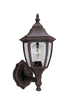 Builder Cast Aluminum One Light Wall Lantern in Autumn Gold (43|2462-AG)