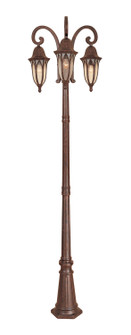 Berkshire Three Light Post Lantern in Burnished Antique Copper (43|20613-BAC)