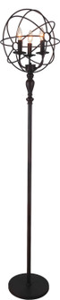 Arza Three Light Floor Lamp in Brown (401|5464F14DB-3)