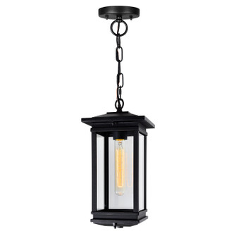 Oakwood One Light Outdoor Pendant in Black (401|0422P7-1-101)