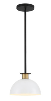 Gigi One Light Pendant in Black + Aged Brass (60|GIG-813-BK-AG)