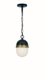 Capsule Three Light Outdoor Pendant in Matte Black + Textured Gold (60|CAP-8506-MK-TG)