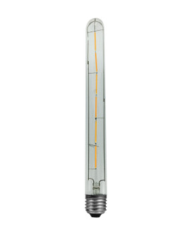 LED Filament Bulb LED Lamp in Clear (46|9664)