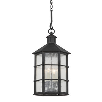 Lake County Four Light Outdoor Lantern in French Iron (67|F2526-FRN)