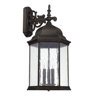 Main Street Three Light Outdoor Wall Lantern in Old Bronze (65|9838OB)