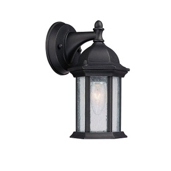 Main Street One Light Outdoor Wall Lantern in Black (65|9831BK)